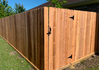 fence and gate